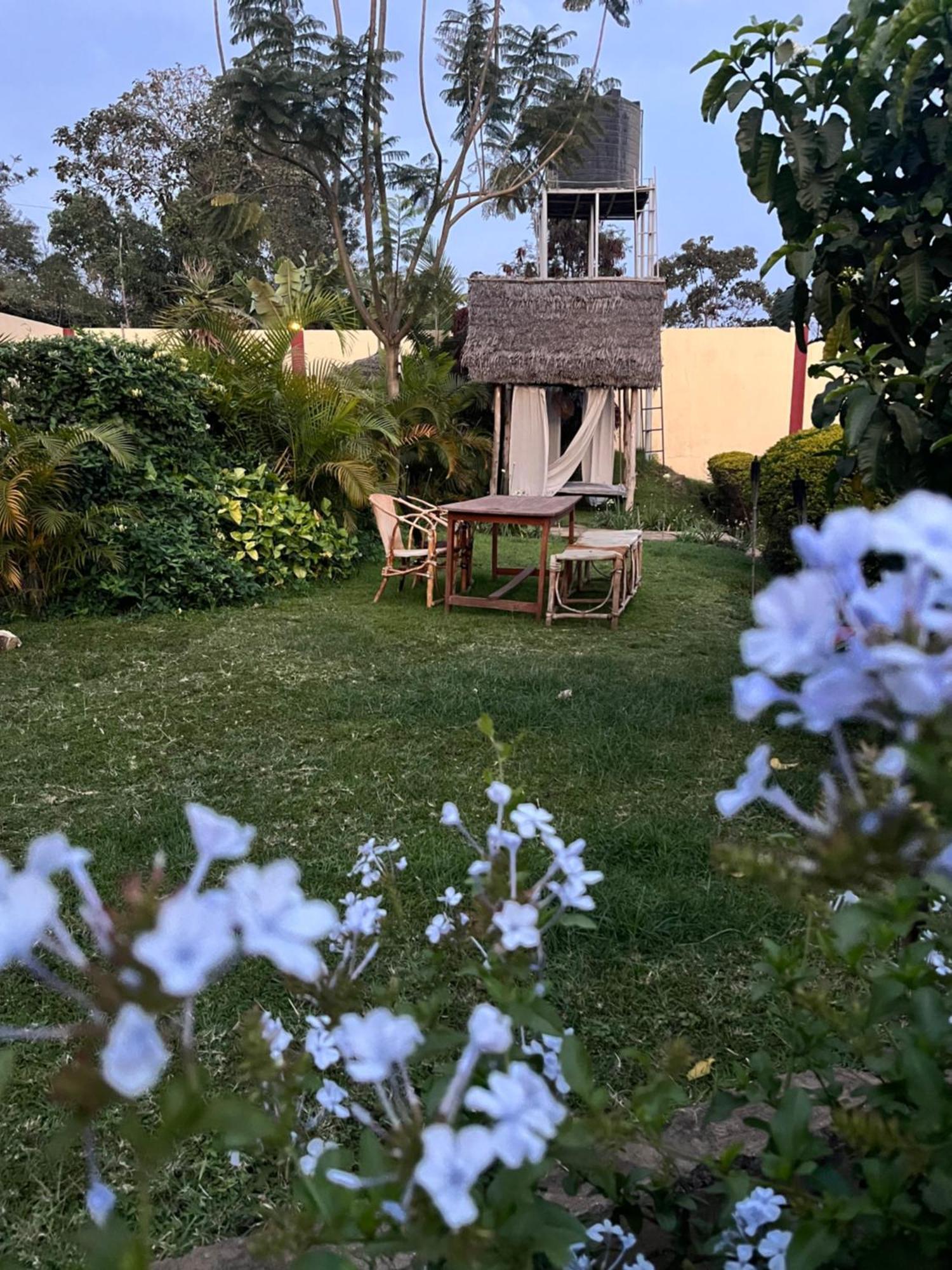 Stasumo House Arusha Bed & Breakfast Екстериор снимка
