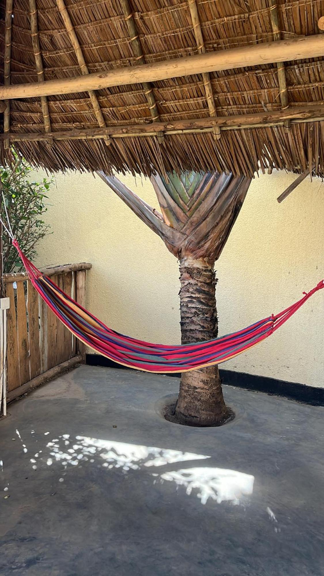 Stasumo House Arusha Bed & Breakfast Екстериор снимка