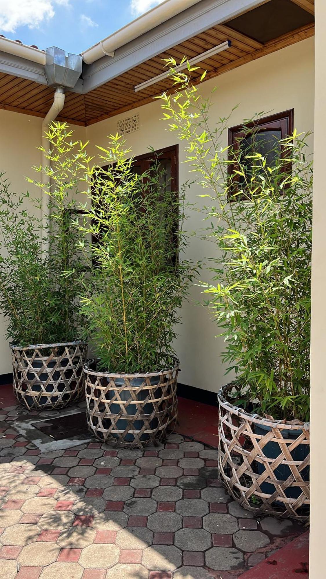 Stasumo House Arusha Bed & Breakfast Екстериор снимка